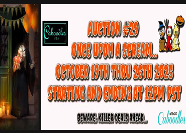 Caboodle Silent Auction 24