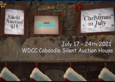 Caboodles Silent Auction